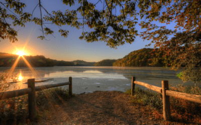 Best Places to Live in Tennessee on a Lake